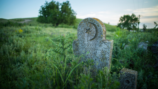 Images articles - Equitas (6)