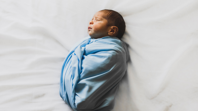 Images articles - Equitas